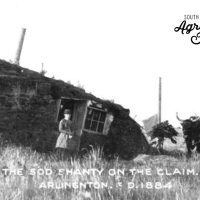 The Sod Shanty on the Claim, Arlington, Dakota Territory, 1884, 2016:023:0259