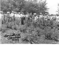 Department of Agricultural Communications, SDSU, Sudlow Collection, 14-8-3 (13038)