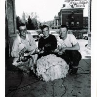 Three college students (Darrell Spinler, Eugene Dooley, and Orville Barrington) kneel behind a pile of wool.