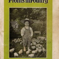 2023:024 Softcover book with green title and black words reading "My Book Profits in Poultry" and "W.A. Weber, Mankato Minnesota".  In the center of the cover is a black and white image of a small child wearing overalls and a hat surrounded by white chickens.