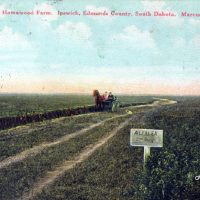 1992:093:0693 Colored Postcard showing an alfalfa field with two people in a horse and buggy