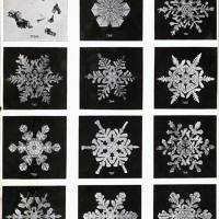 microscopic snowflakes