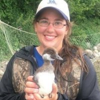 Cindy Anchor's picture with a baby duck