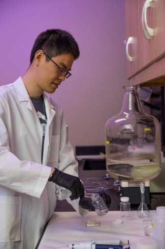 Peng Dai preparing solutions with E. coli
