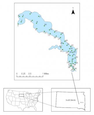 map of where data has been gathered on Lake Mitchell