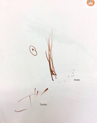 Child's drawing: brown scribbles (tundra, grass)