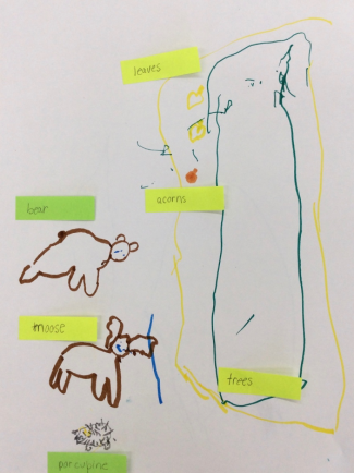 Child's drawing: moose, bear, acorns, leaves, trees, porcupine