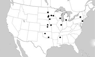 Figure 4. Occurrence of the switchgrass gall midge (Chilophaga virgate) in native and planted switchgrass across the U.S.