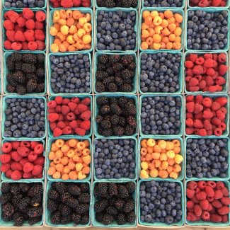 Colorful berries in square containers.