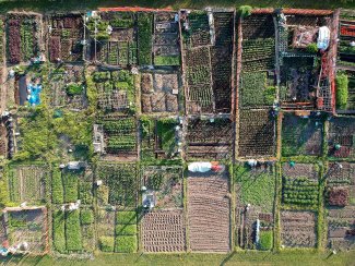 Aerial view of multiple gardens
