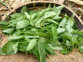 traditional leaves used for food
