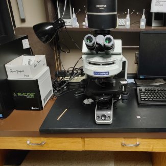 Image of Bx53 upright microscope