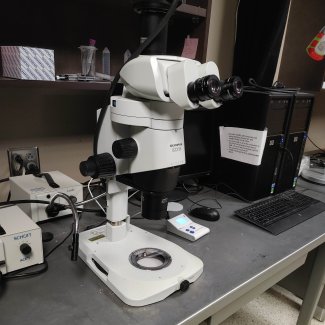 Image of Olympus stereomicroscope