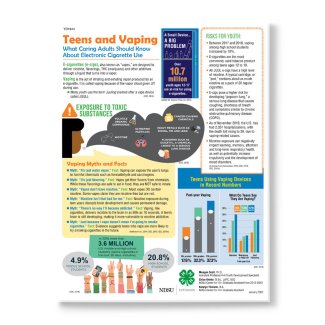 Teens and Vaping pamphlet