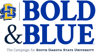 Bold and blue camping logo for SDSU's foundation.