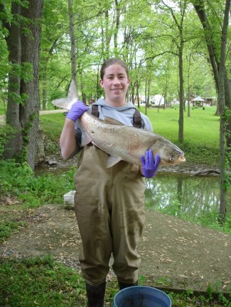 Coulter with fish