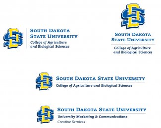SD Supplemental Signatures with SD logo and college spelled out