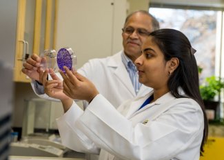 Gunaje and Sankaranarayanan examining cell cultures