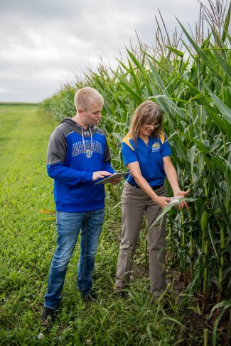 Student and faculty member looking at plants in a field.
